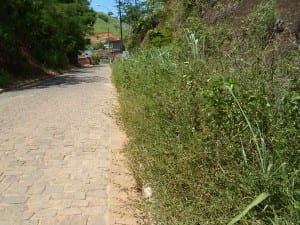 52cef681e2157-reduzirfotos-com