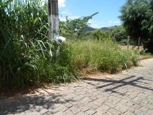 52cef68aa708e-reduzirfotos-com