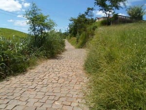 52cef68b85f32-reduzirfotos-com